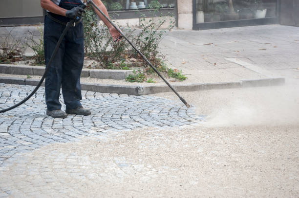 Reliable Park Forest, IL Pressure Washing Services Solutions