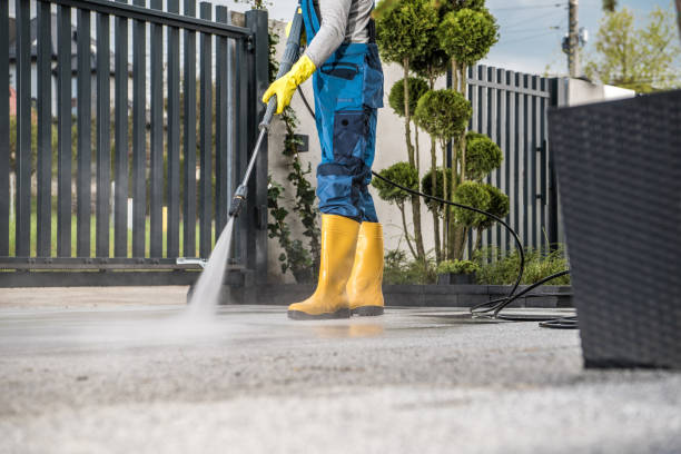 Best Driveway Pressure Washing  in Park Forest, IL